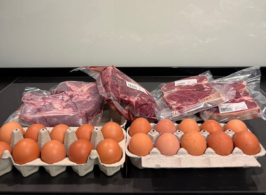 Coaching Alimentazione Cibo Vero